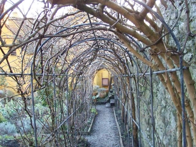 pathways
